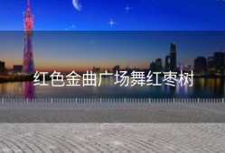 红色金曲广场舞红枣树