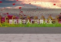 墨西哥华人广场舞大全