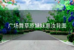 广场舞草原妹妹惠汝背面