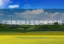 广场舞视频大全哑巴新娘广场