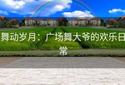 舞动岁月：广场舞大爷的欢乐日常