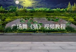 广场舞《猜》视频教程