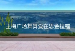 王梅广场舞舞爱在思金拉错