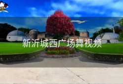 新沂城西广场舞视频