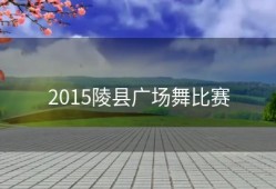 2015陵县广场舞比赛