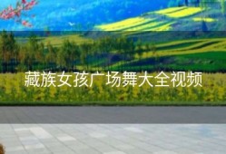 藏族女孩广场舞大全视频