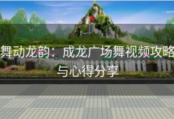 舞动龙韵：成龙广场舞视频攻略与心得分享