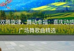 欢腾旋律，舞动幸福：喜庆动感广场舞歌曲精选
