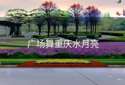 广场舞重庆水月亮