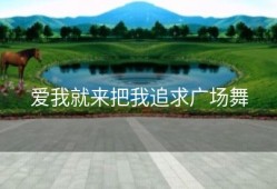 爱我就来把我追求广场舞