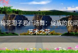 梅花泪子君广场舞：绽放的民间艺术之花