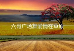 六哥广场舞爱情在草原