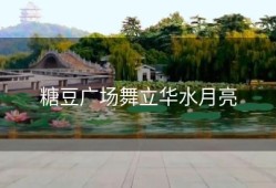 糖豆广场舞立华水月亮