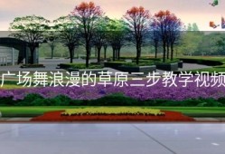 广场舞浪漫的草原三步教学视频