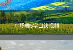 广场舞5字口诀视频