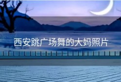 西安跳广场舞的大妈照片