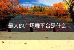 最大的广场舞平台是什么