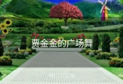 贾金金的广场舞