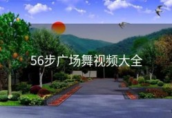 56步广场舞视频大全
