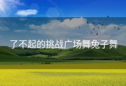 了不起的挑战广场舞兔子舞