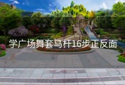 学广场舞套马杆16步正反面