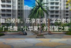 舞动晚年，乐享生活：学中老年广场舞“小苹果”的温馨之旅