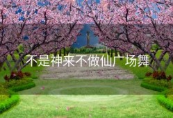 不是神来不做仙广场舞
