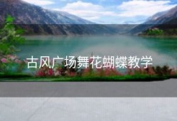 古风广场舞花蝴蝶教学