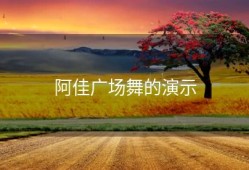 阿佳广场舞的演示