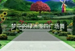 梦中的绿洲慢四广场舞