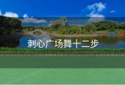 刺心广场舞十二步