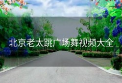 北京老太跳广场舞视频大全