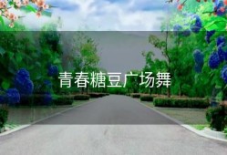 青春糖豆广场舞