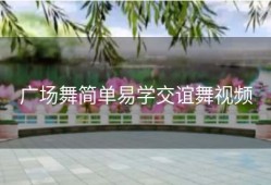 广场舞简单易学交谊舞视频