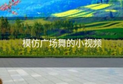 模仿广场舞的小视频