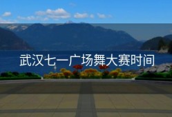 武汉七一广场舞大赛时间