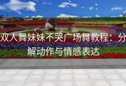 双人舞妹妹不哭广场舞教程：分解动作与情感表达