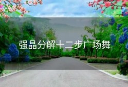 强晶分解十二步广场舞