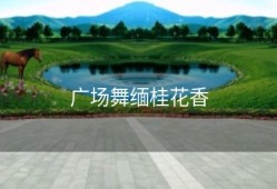 广场舞缅桂花香