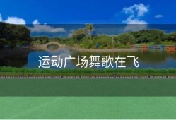 运动广场舞歌在飞