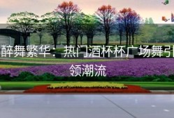醉舞繁华：热门酒杯杯广场舞引领潮流