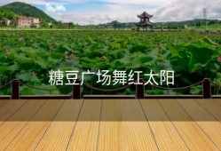 糖豆广场舞红太阳