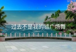 过去不是我的错广场舞