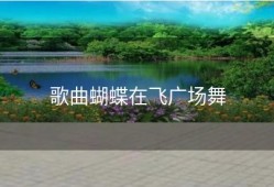 歌曲蝴蝶在飞广场舞