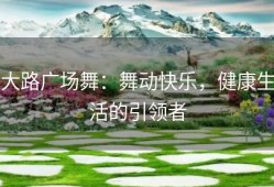 大路广场舞：舞动快乐，健康生活的引领者