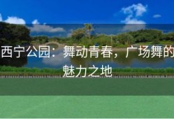 西宁公园：舞动青春，广场舞的魅力之地