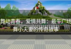 舞动青春，爱情共舞：最牛广场舞小夫妻的传奇故事