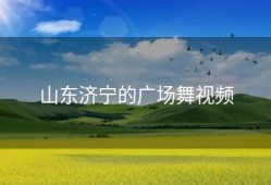 山东济宁的广场舞视频