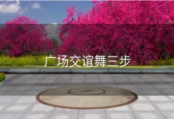 广场交谊舞三步