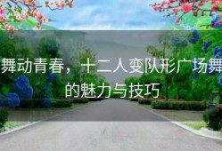 舞动青春，十二人变队形广场舞的魅力与技巧